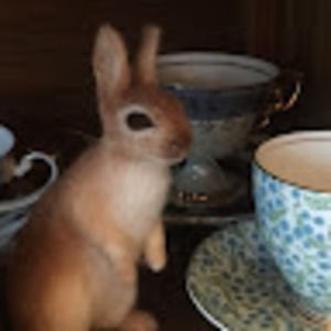 Meet your Posher, Christiane